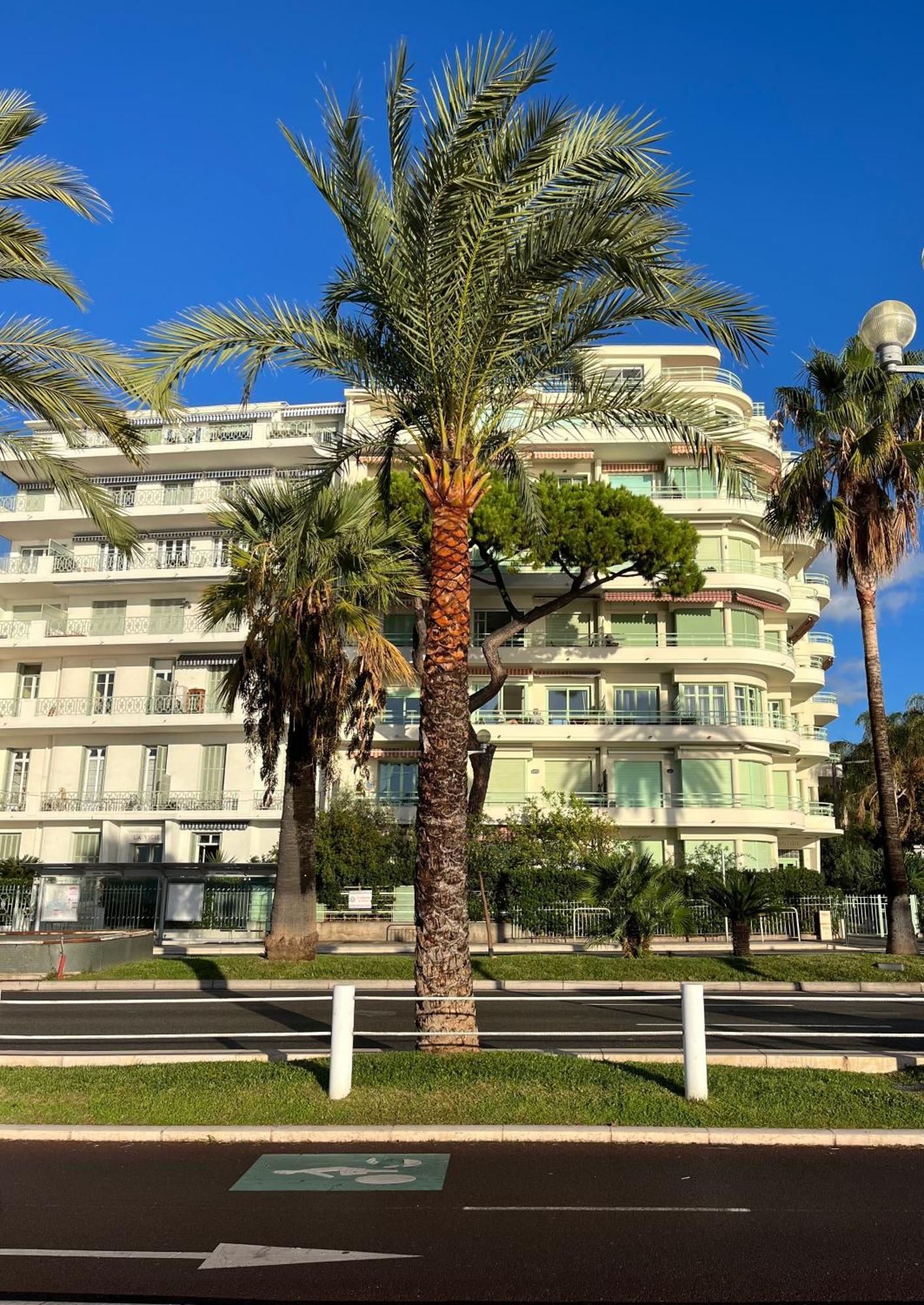 Nice 115 By The Sea 外观 照片